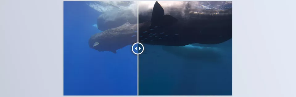 improve colors in travel and nature videos - Sample 7