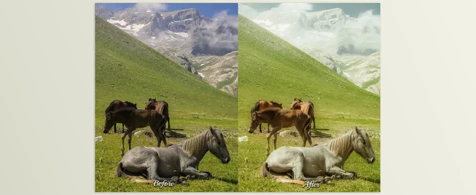 Color Grading with LUTs - Sample 6