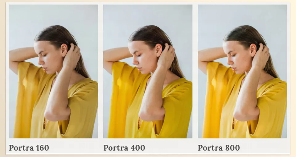 Portra Original Presets - Sample 1