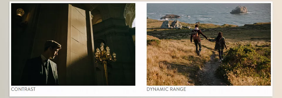 Nirav Patel LOTUS Presets - Sample 1