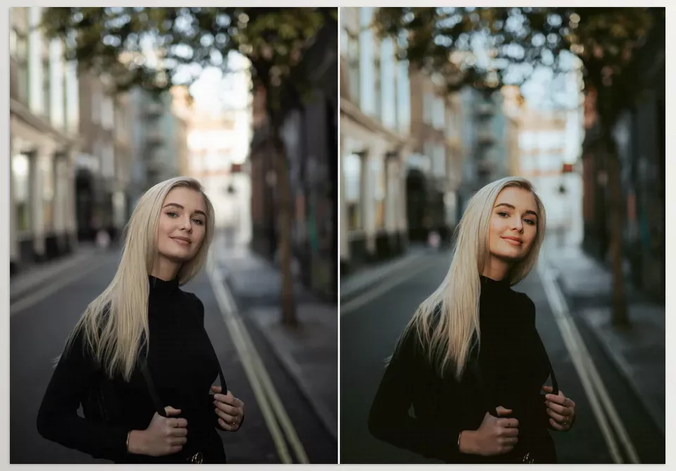 WithLuke Presets The Master Collection - Sample 1