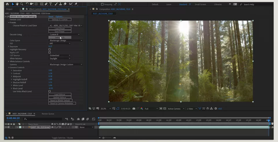 BRAW Studio Plugin - Sample 2
