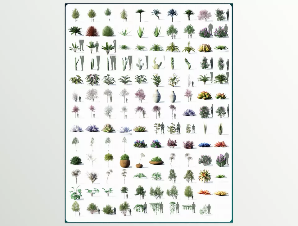 Tree Vegetation - Sample 2