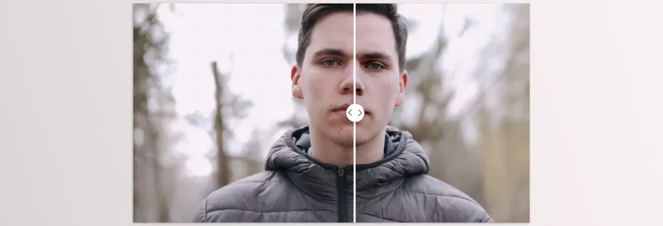 FacePro Plugin - Sample 1