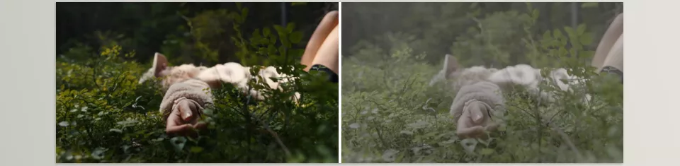 Jacob Nordin Sony LUTs - Sample 2