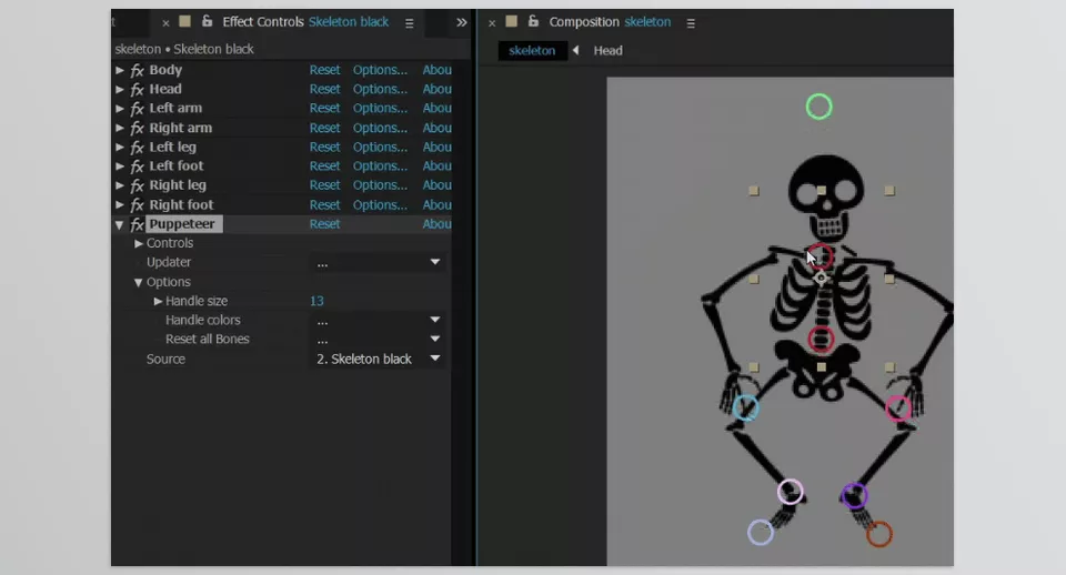 BAO Bones - Sample 1